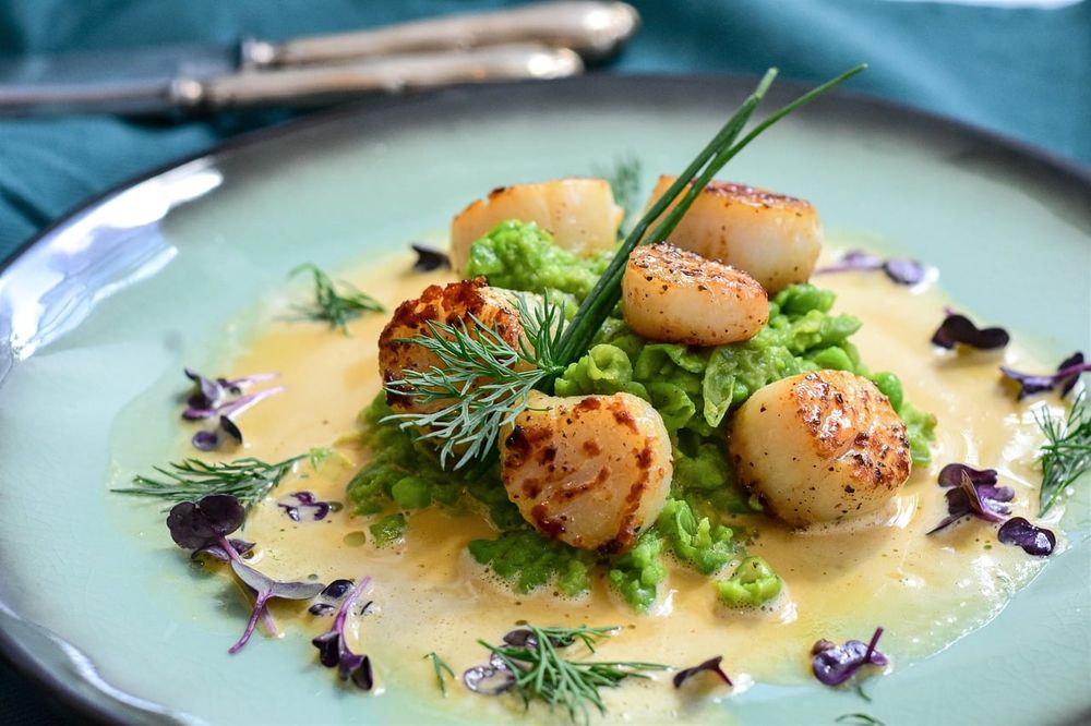 Seared scallops on pea purée with a butter sauce
